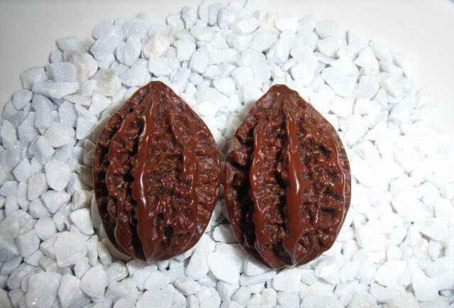 秋子核桃 - 热门商品专区