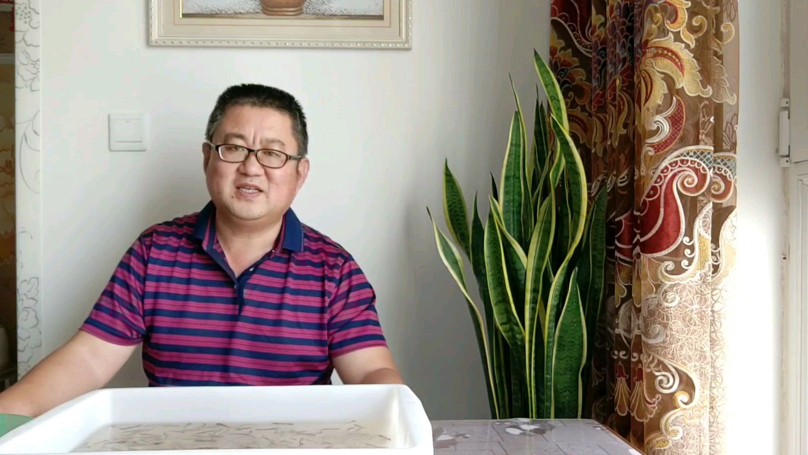 大鱼吃小鱼!孔雀鱼多大可以混养?土专家:掌握两点,养鱼不求人