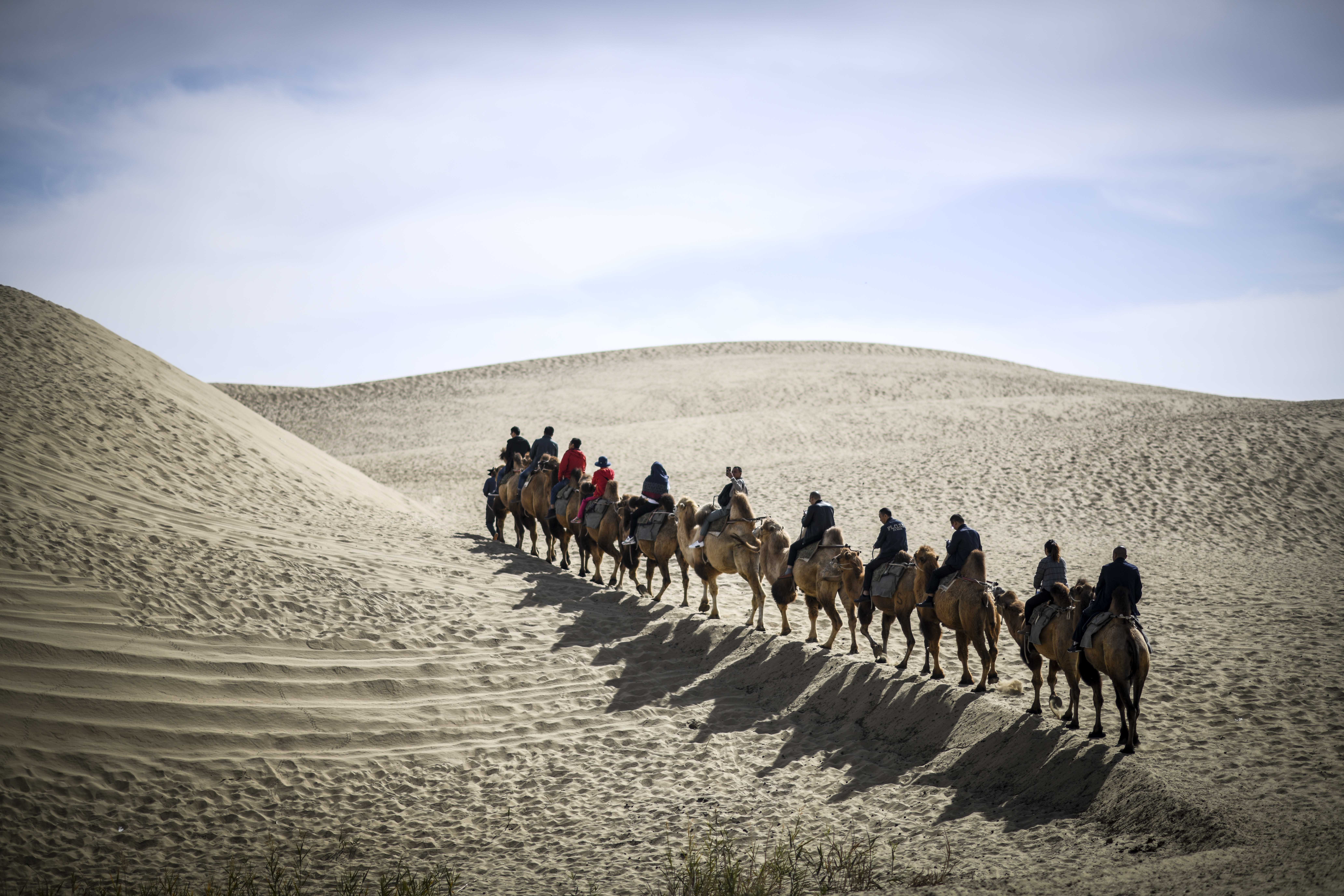 新疆尉犁:金秋美景醉游人