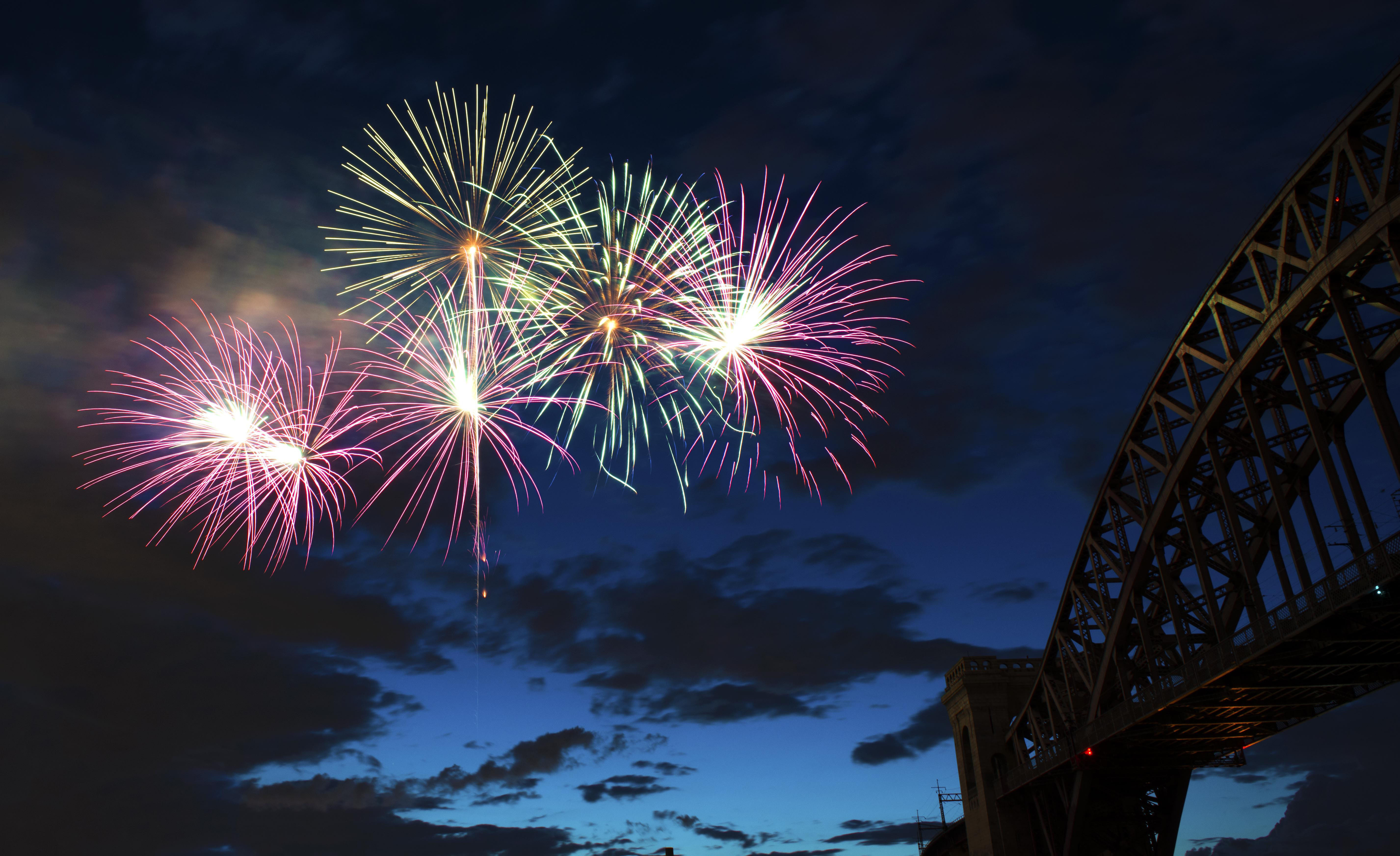 无数朵烟花用自己的花瓣把黑洞洞的夜空点染成五光十色的花园