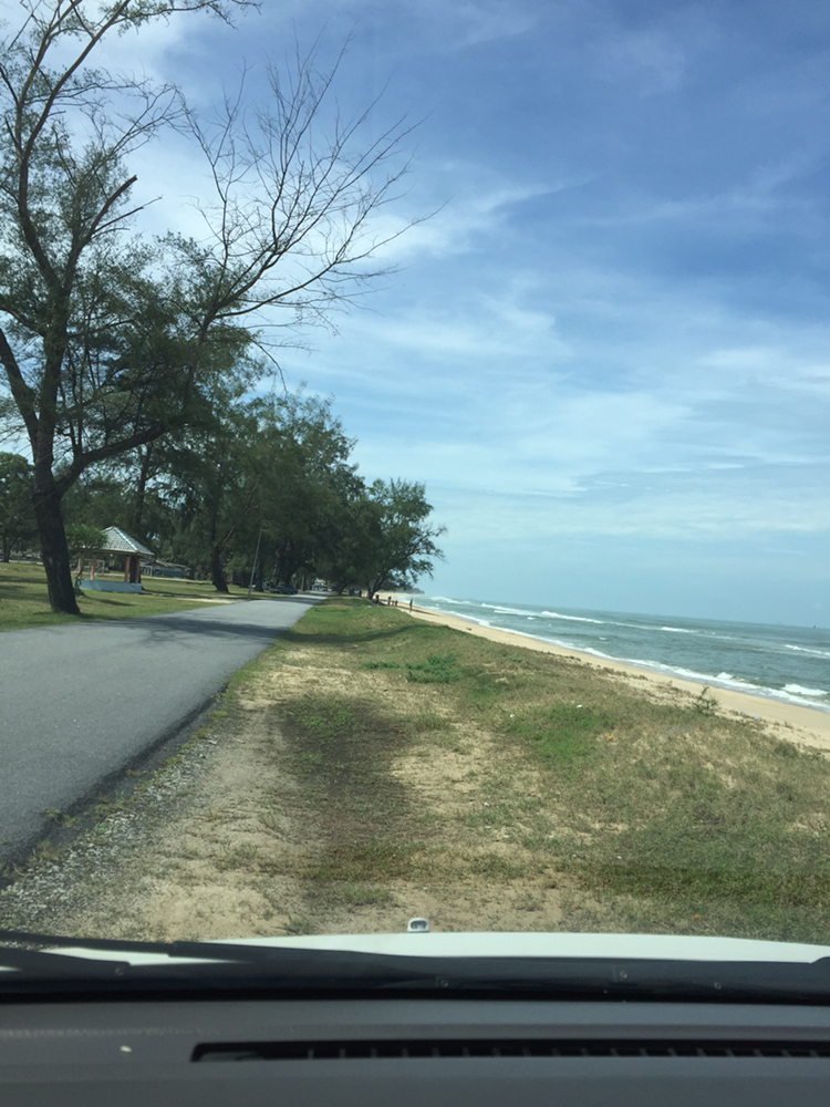 马来西亚彭亨州野外景色