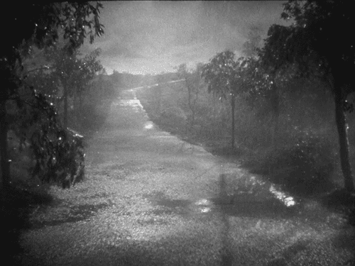 橘子洲临时闭园!入汛以来最强降雨来了,这些保命技能一定要学会!