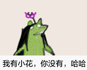 300_241gif 动态图 动图