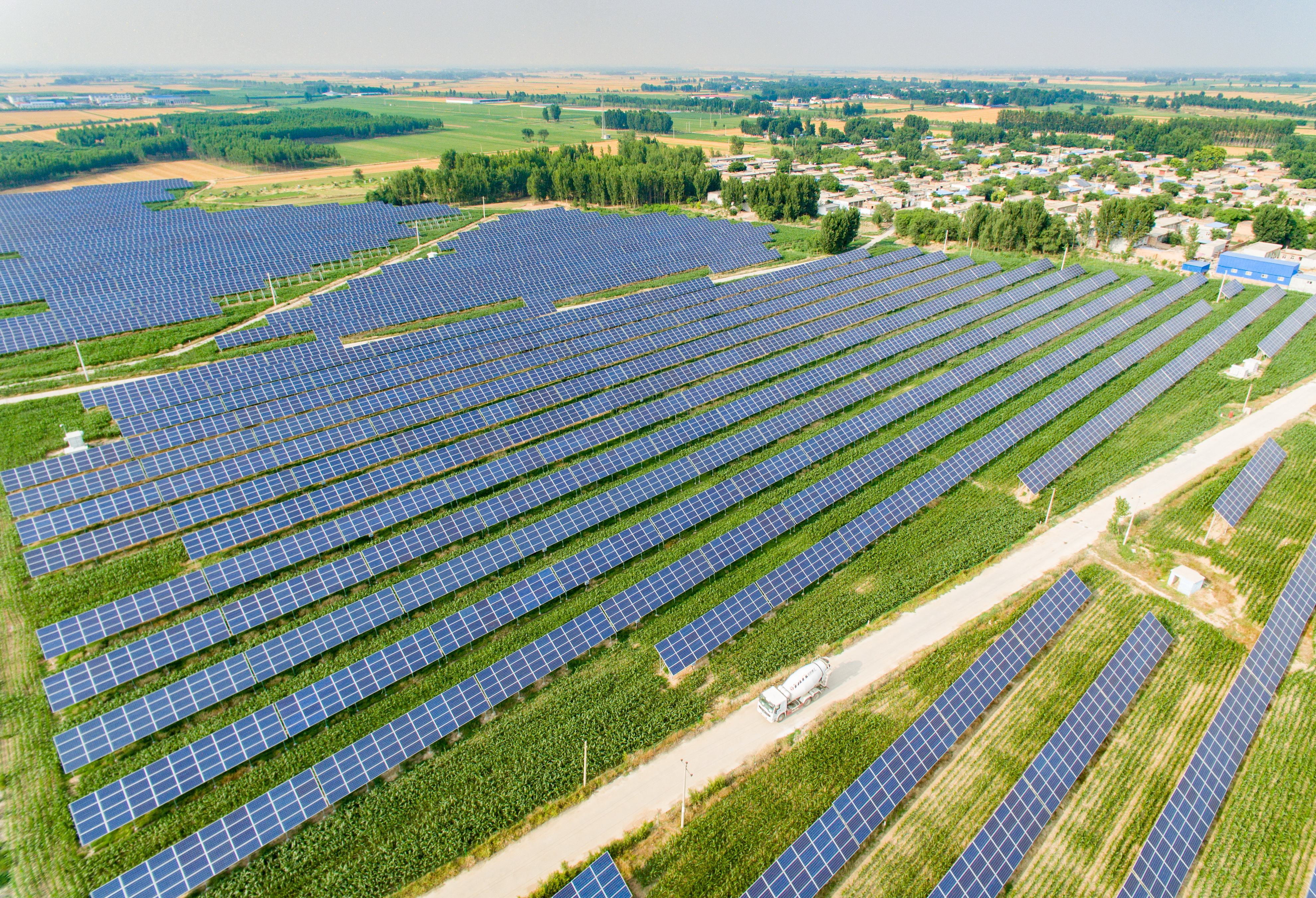 河北武邑:"农光互补"助增收(4)