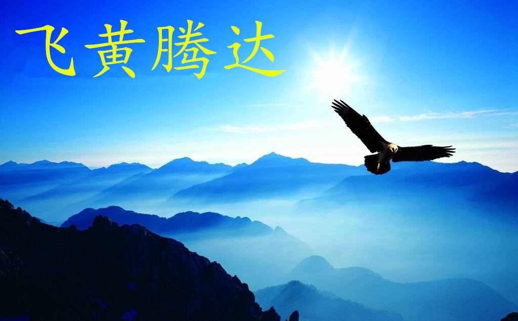 年轻时吃苦耐劳,35-40岁易飞黄腾达,大富大贵,生活美满的星座