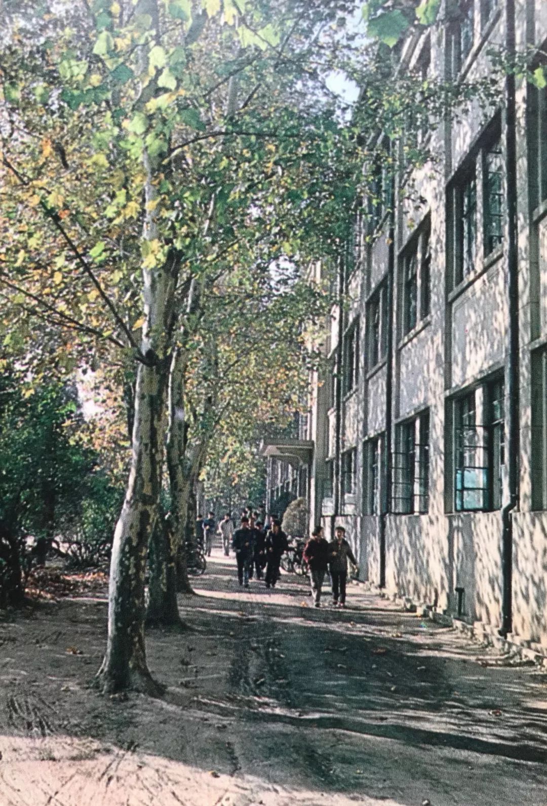华中科技大学70,80年代是什么样子的?一起看看吧,陌生又熟悉!