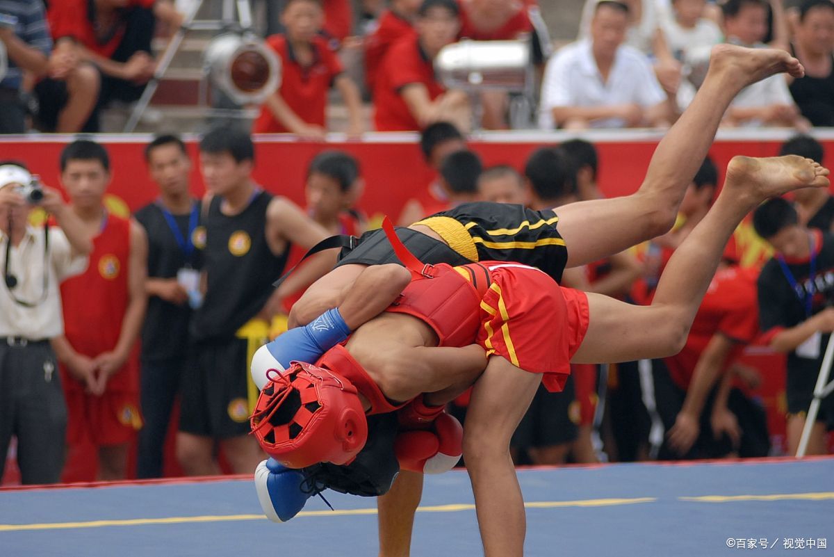 少林金刚拳十将