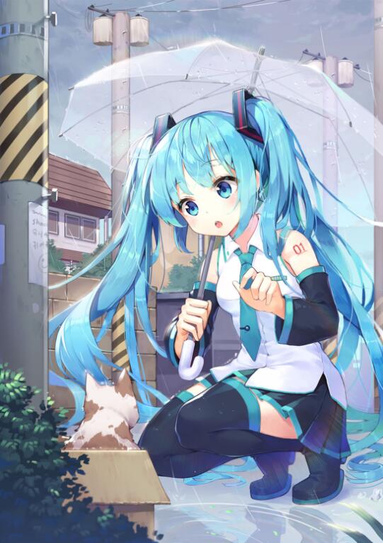 动漫超可爱初音未来公主头像:公主殿下,请让我守护你!