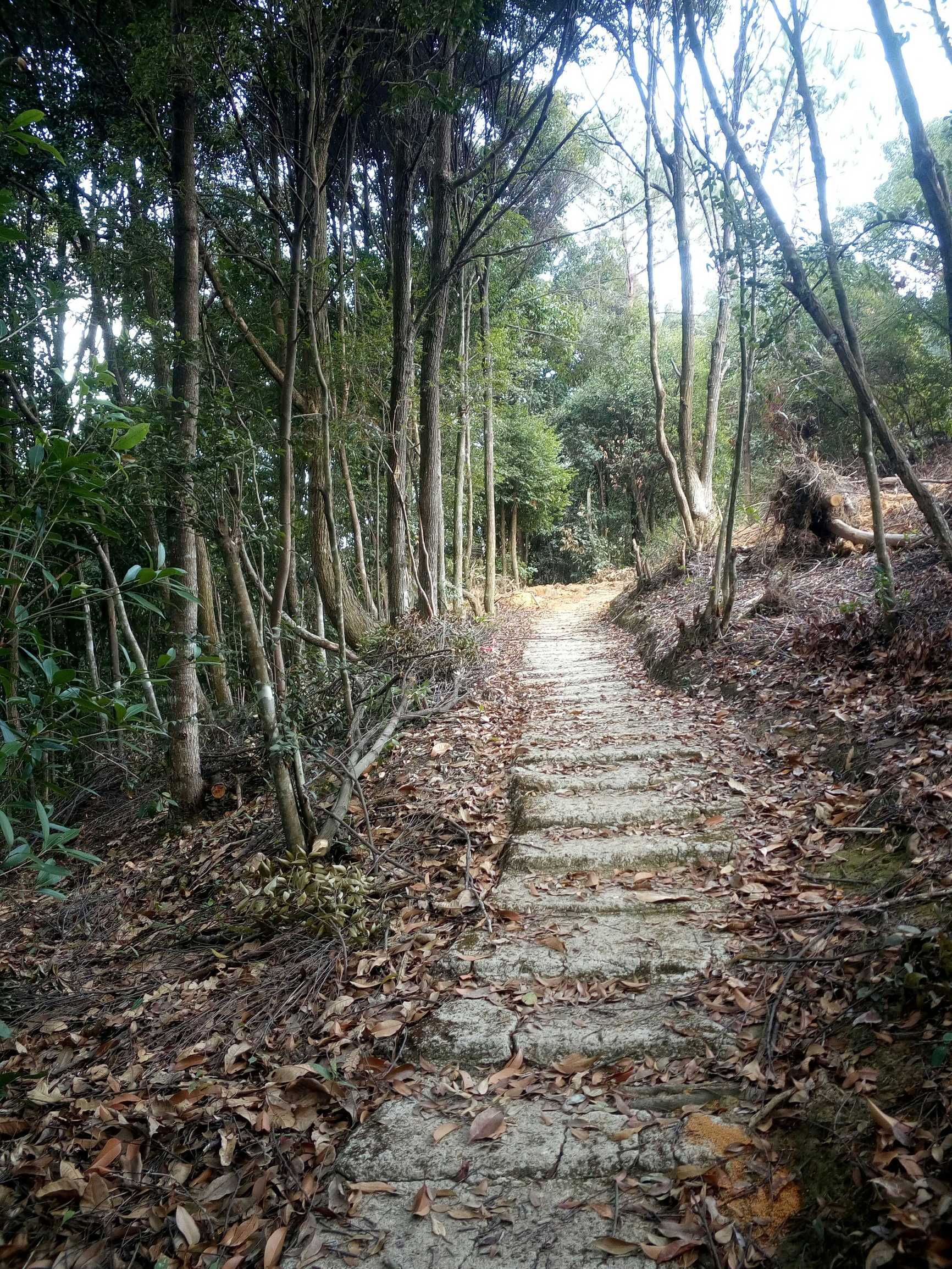 开化南华山风景区图片