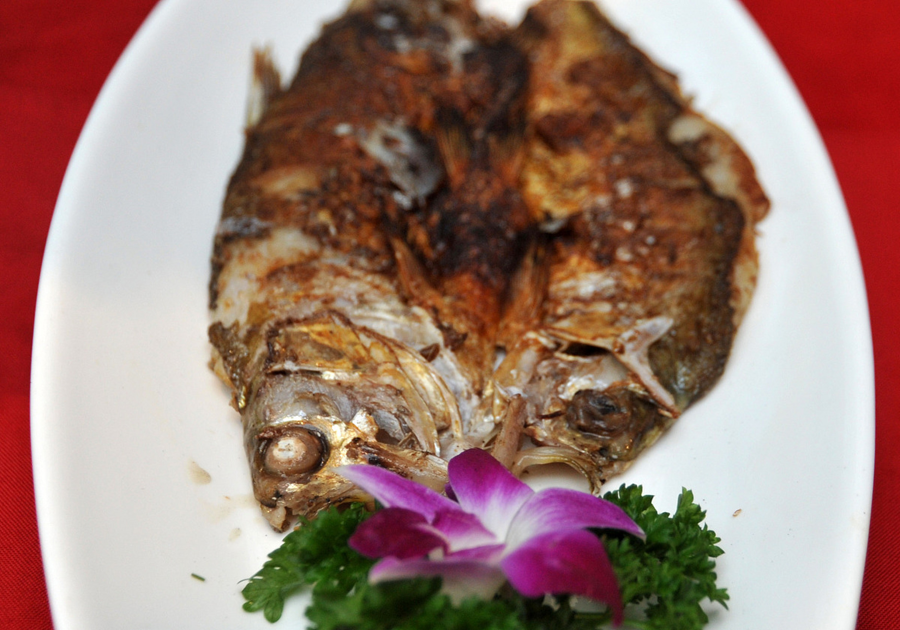 知识创作挑战赛# 河南的年味--濮阳糟鱼 濮阳糟鱼,鱼肉鲜嫩,鱼刺酥香