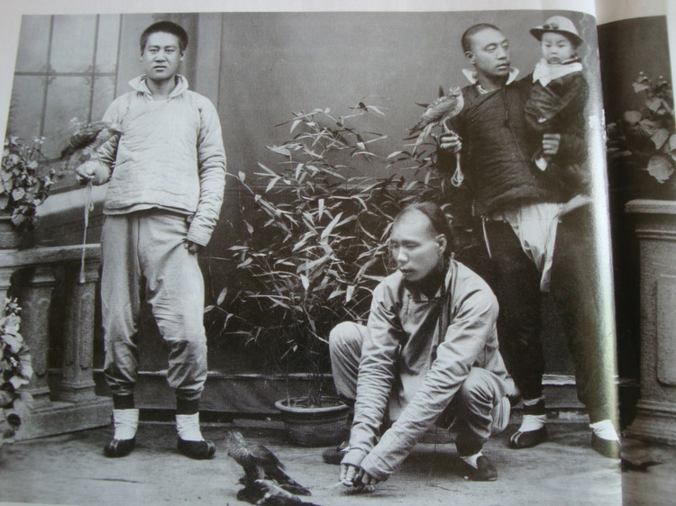 晚清挂笼遛鸟的官员