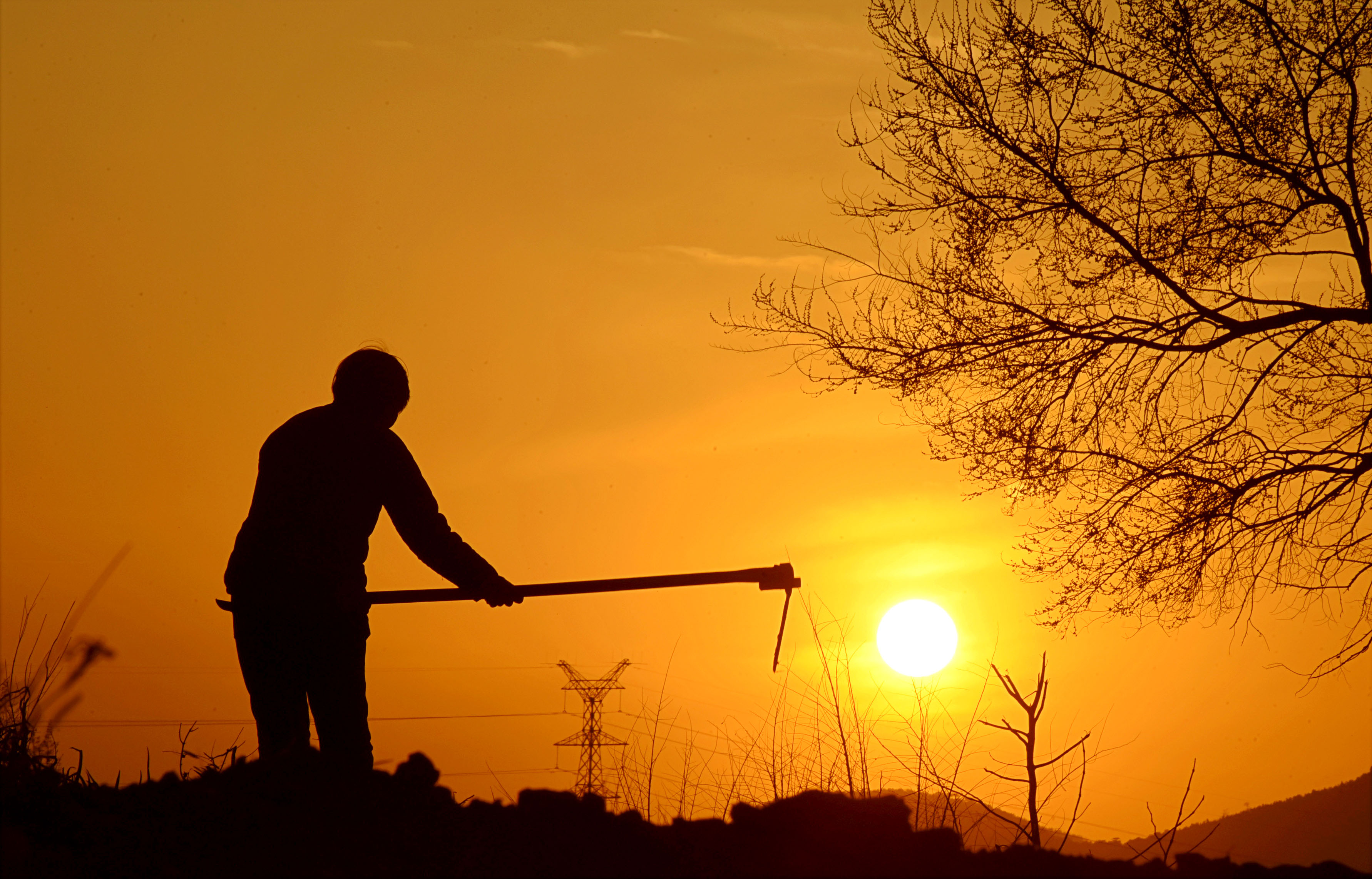 春季人勤劳作忙(1)