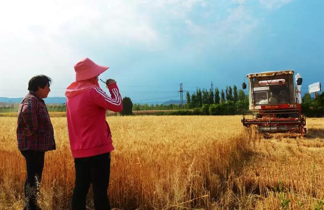 快来看看~焦作3家合作社获国家级新名片啦!有你熟悉的么?