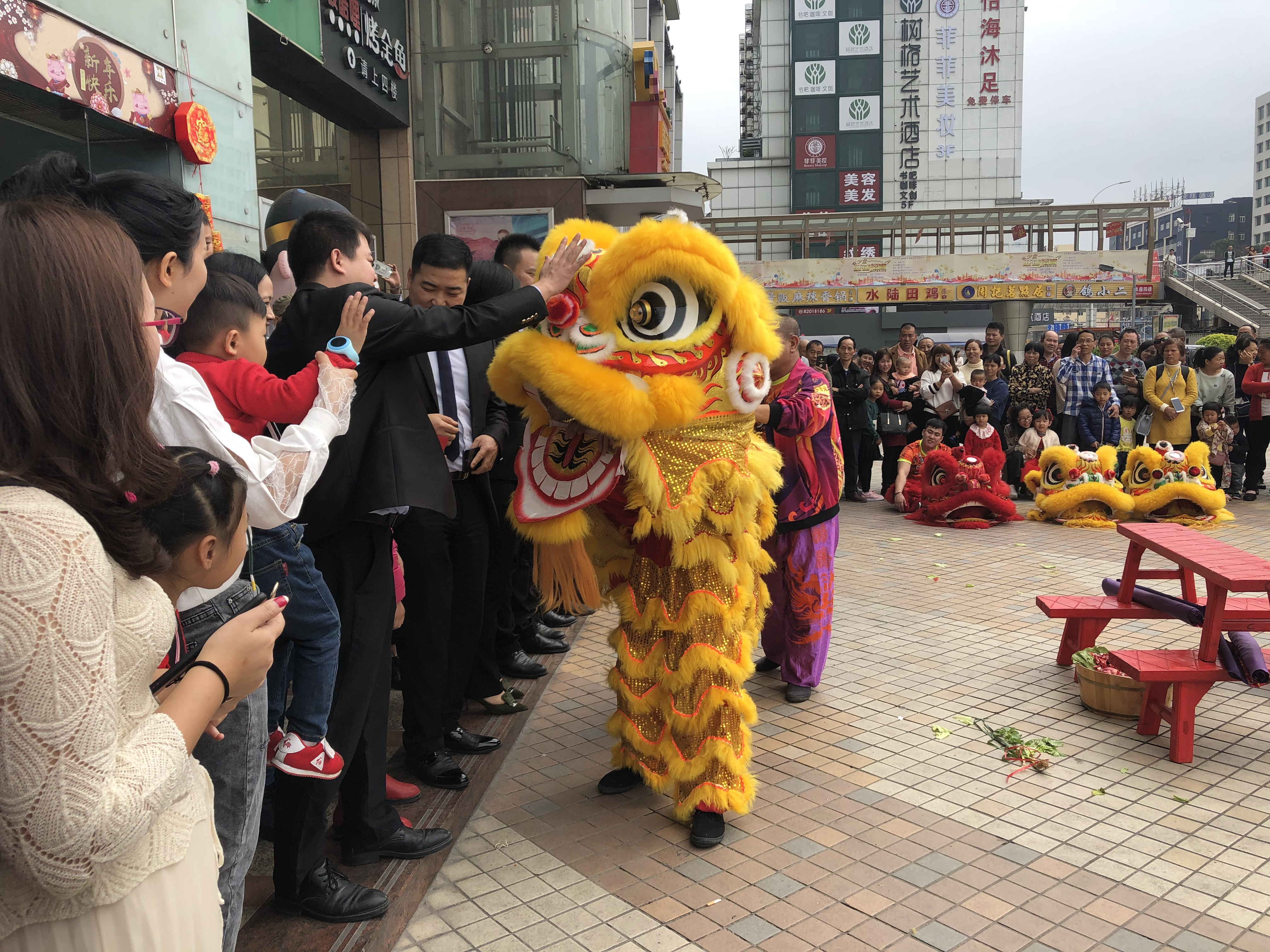 狮子亲近人群,摸摸狮头可以沾点福气.小朋友们都非常喜欢舞狮.