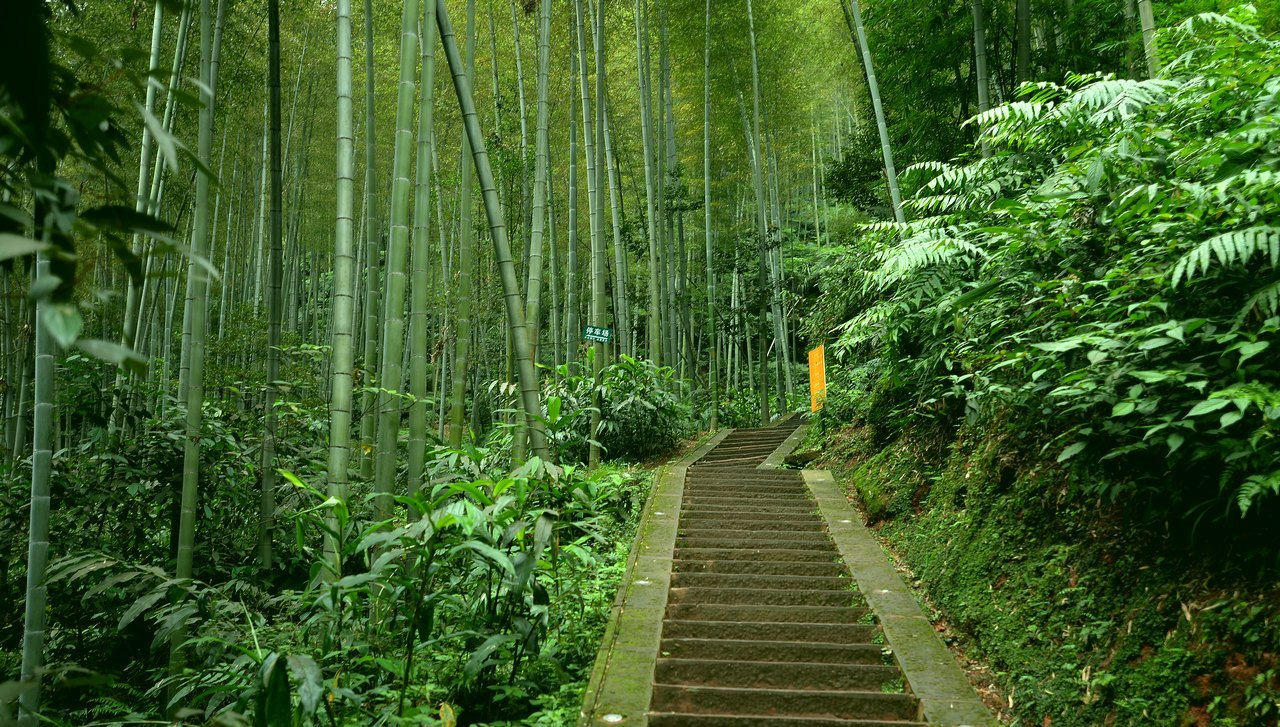 四川有望崛起的城市:不是绵阳,也不是洛阳,而是这座低调的小城