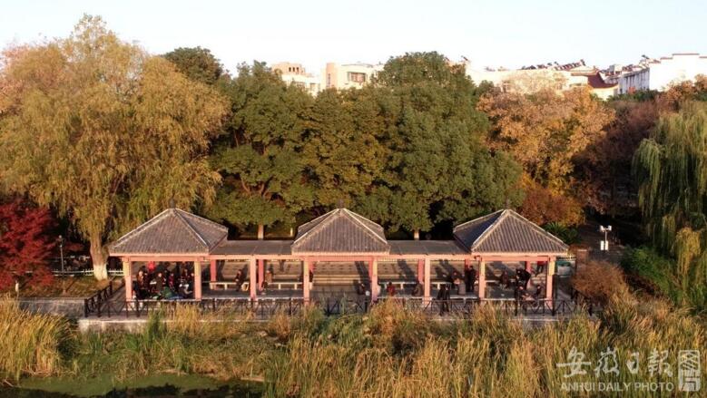 巢湖市洗耳池公园冬景美如画(图)