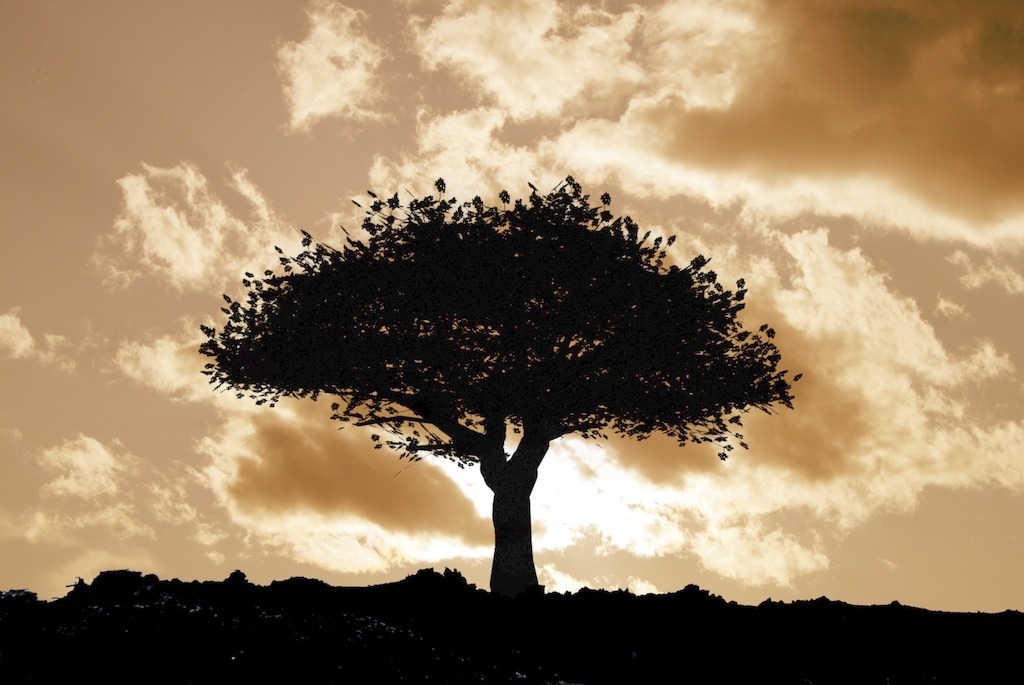 如果你走进自己的心灵深处,你愿做一