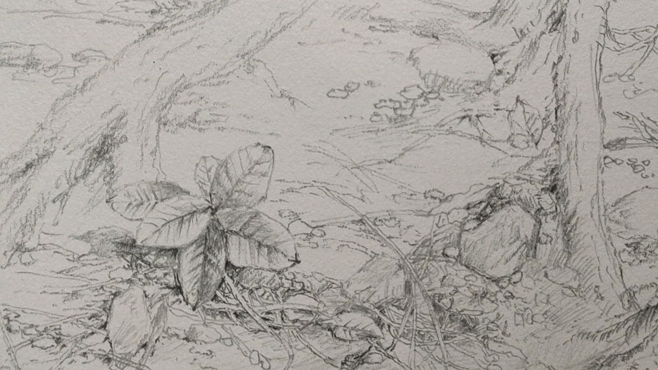 生活小趣铅笔画素描速写(上):偶然见到的一幕,我把它画了下来
