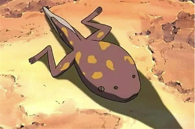 鸣人通灵兽为什么是蛤蟆?你不好奇吗