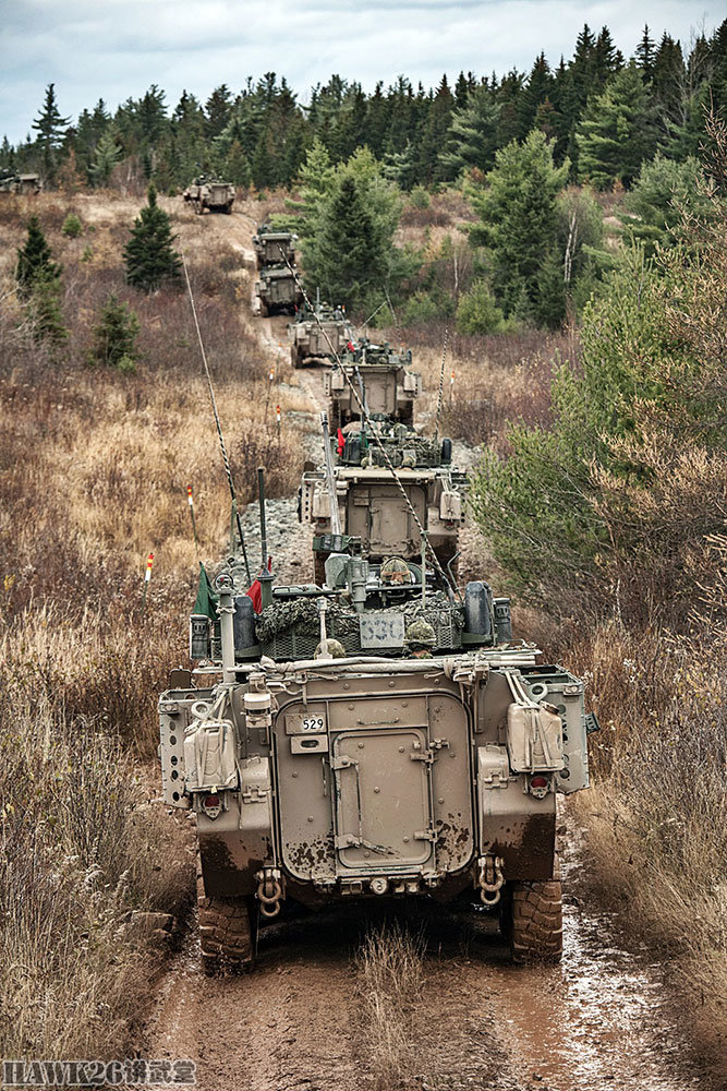 加拿大陆军实战演习 lav iii步兵战车精彩亮相 在阿富汗损失13辆