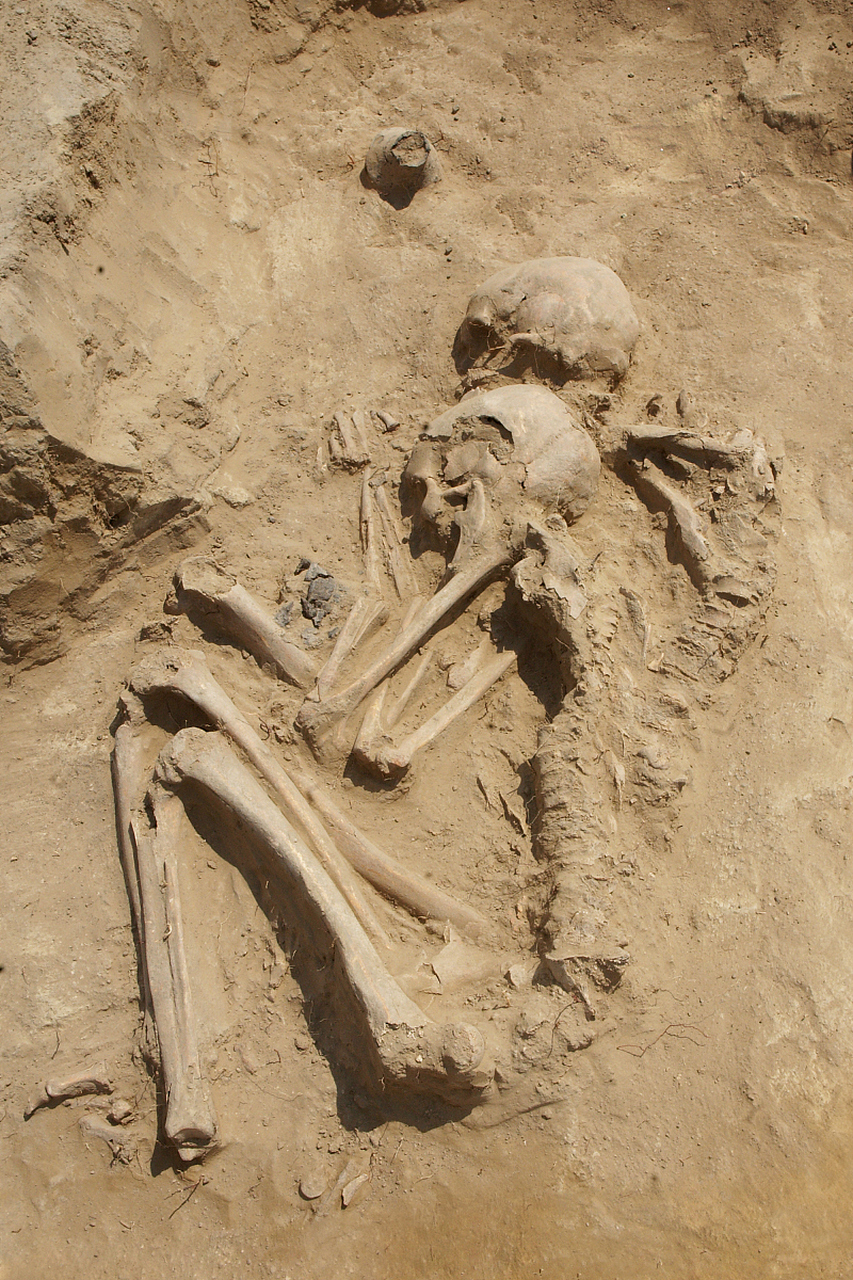 殉葬制度在古代是一种残忍,恐怖的社会习俗,大量人被强制或诱骗成为