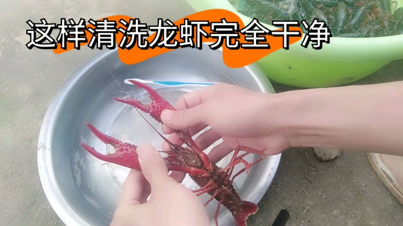 处理龙虾的正确方法不夹手安全快速