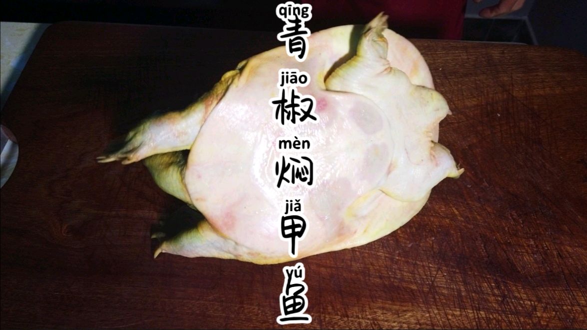 花400元买了个大甲鱼,厨师长从宰杀到制作全过程分享,先收藏了
