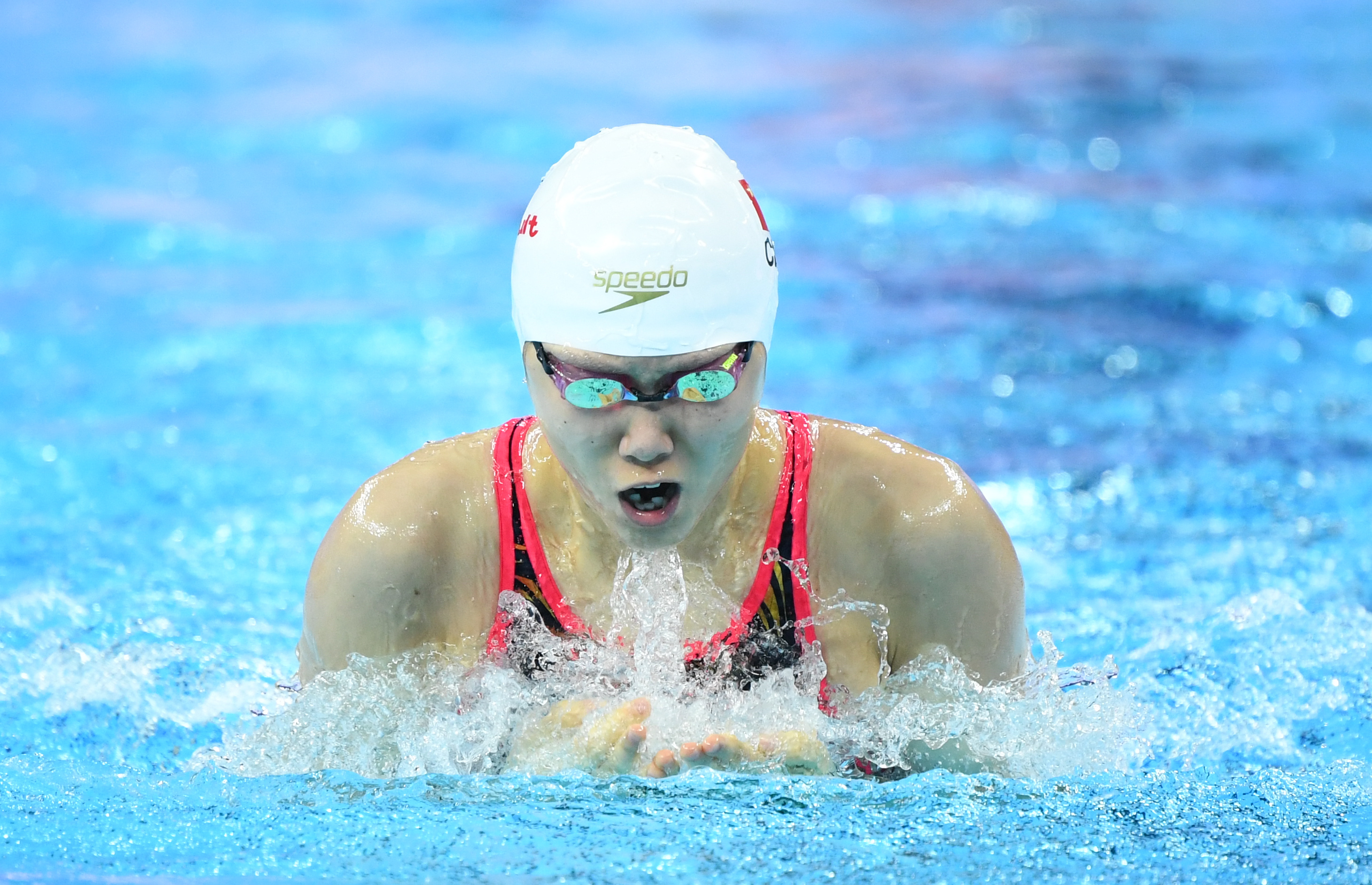 新华社照片,杭州,2018年12月13日    (体育)(5)游泳——短池世锦赛