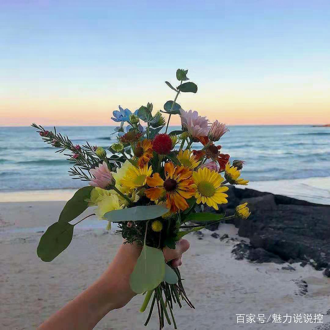 充满阳光的早安心语,句句入心,快发朋友圈吧!