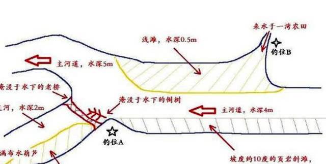 一個老釣魚人的心路歷程,總結的四條野釣經驗,告誡新手少走彎路