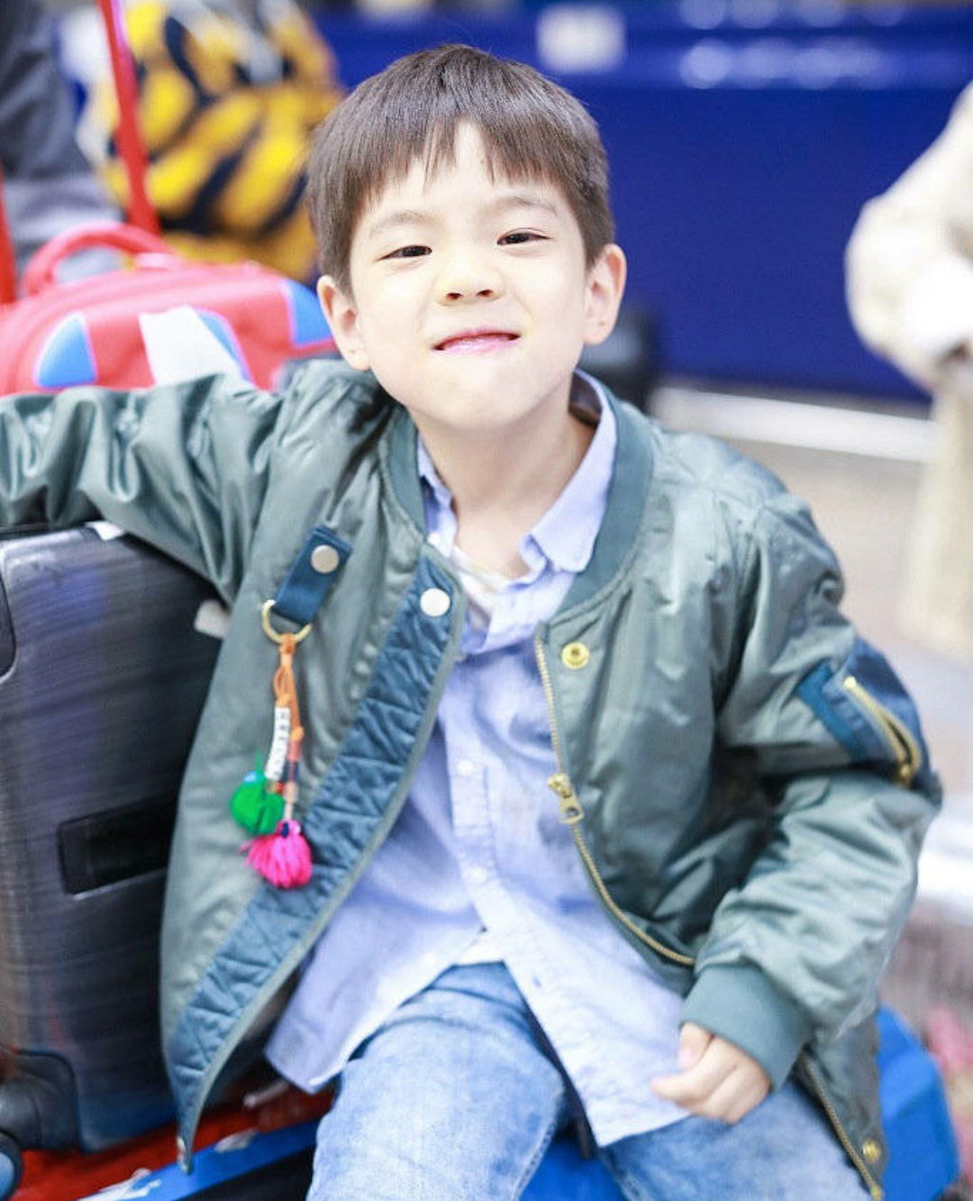5岁的嗯哼,长高不少越发帅气,坐行李箱上又造出各种表情包