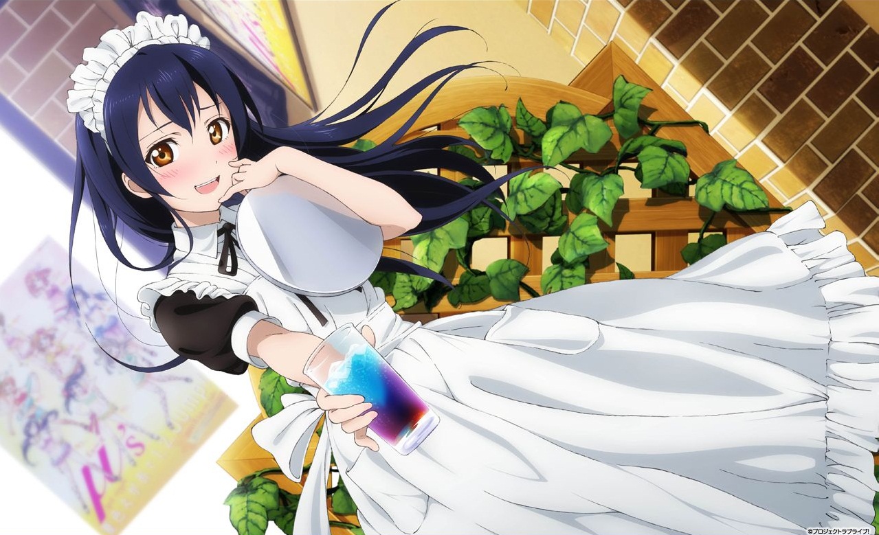 白鬼院凛凛蝶,《妖狐×仆ss》女主角,双鱼座.