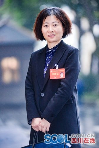 省政协委员万琳:进一步整合政府数据资源,方便市民自助查询