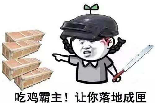 绝地求生:分享一波无水印的吃鸡表情包,吃鸡群斗图必备!