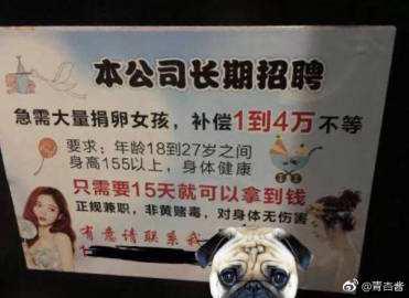 2025年最新有偿捐卵的价格推荐(今日分享正规有偿捐卵)