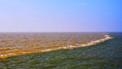 东营黄河入海口图片