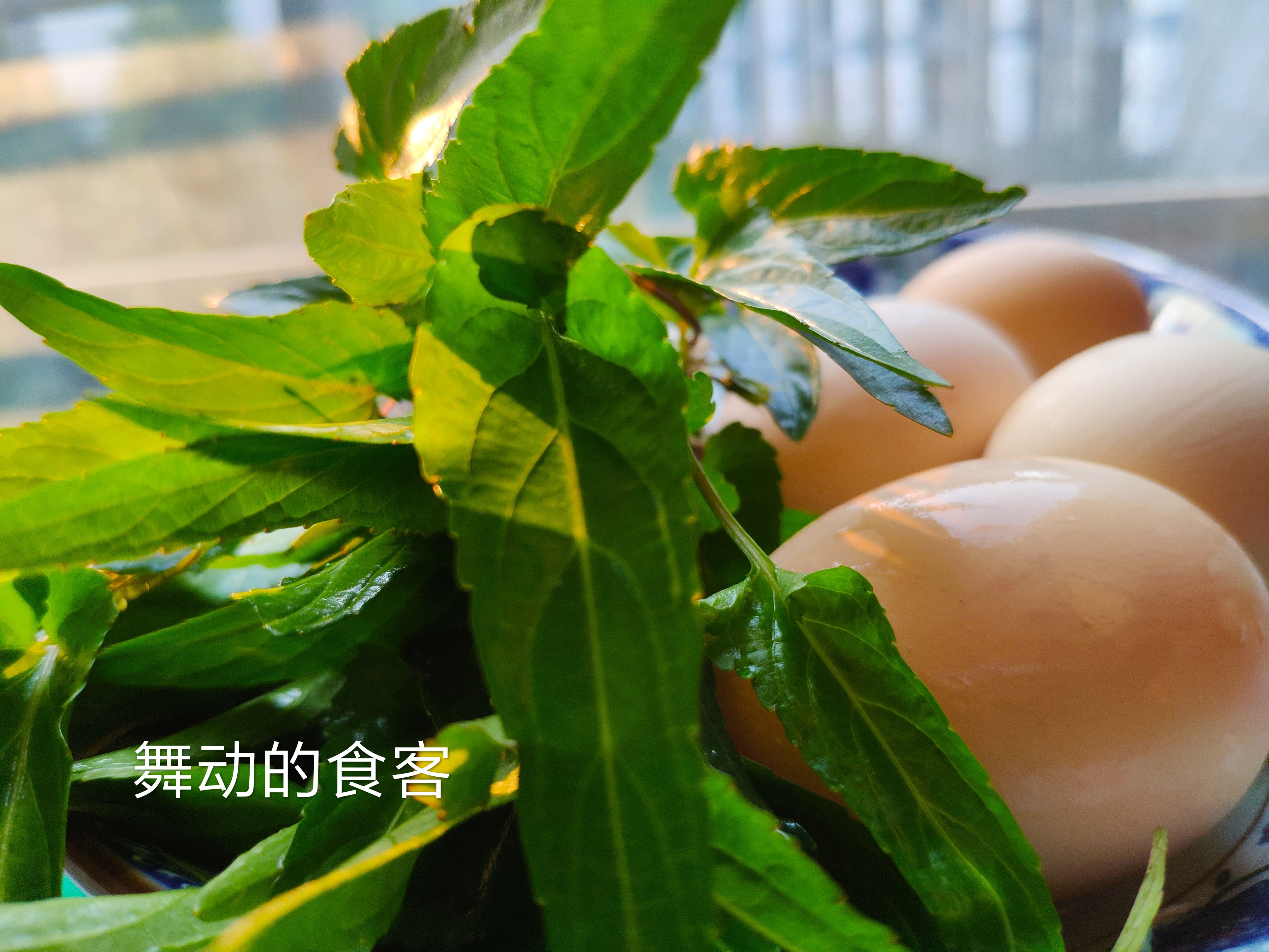 它是野菜中的多面手,早春最美的观赏植物,既可盆栽入药又可食用