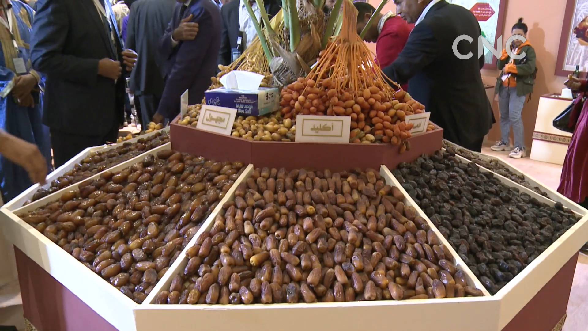 第十届摩洛哥国际椰枣节闭幕