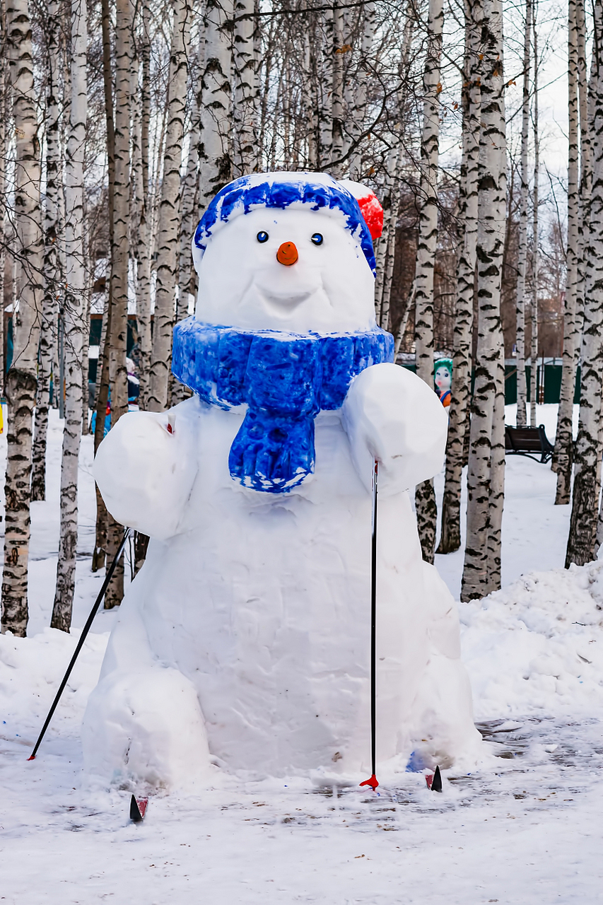 各种雪人图片大全图片