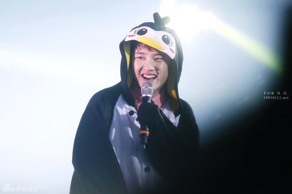 动物界的韩国男团(防弹,exo等),论动物与男爱豆的相似度