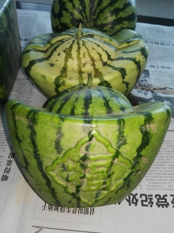 男子几百元买个"元宝"西瓜,回家切开后懵了,网友:太傻了!