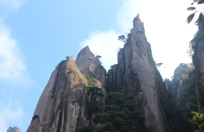 拥有无比险峻风光的庐山,不仅有俊秀风景,还有大量的