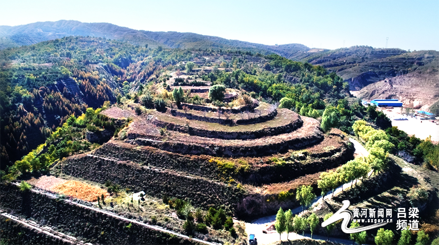 吕梁离石森林公园:沟壑山梁植被广覆(组图)