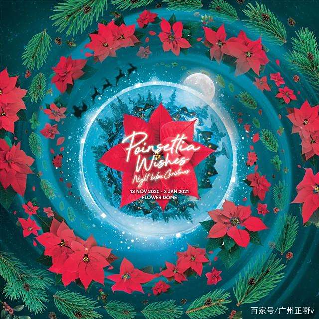 打卡新加坡滨海湾花园,收下这份闯入花海仙境的春节攻略 打卡新加坡滨海湾花园,收下这份闯入花海仙境的春节攻略