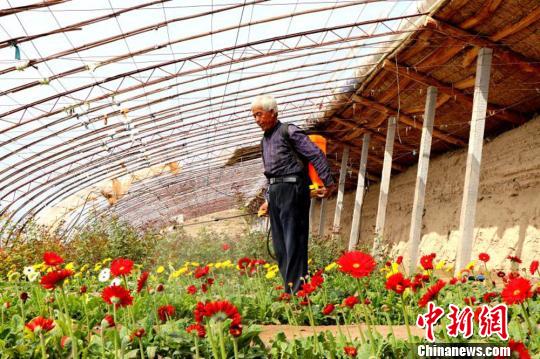 庄稼祥庄稼汉庄稼人图片