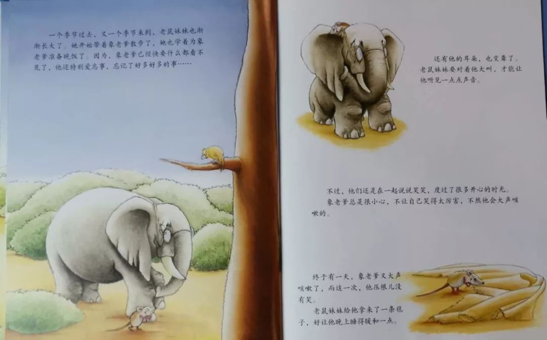 晚安故事分享——《象老爹》