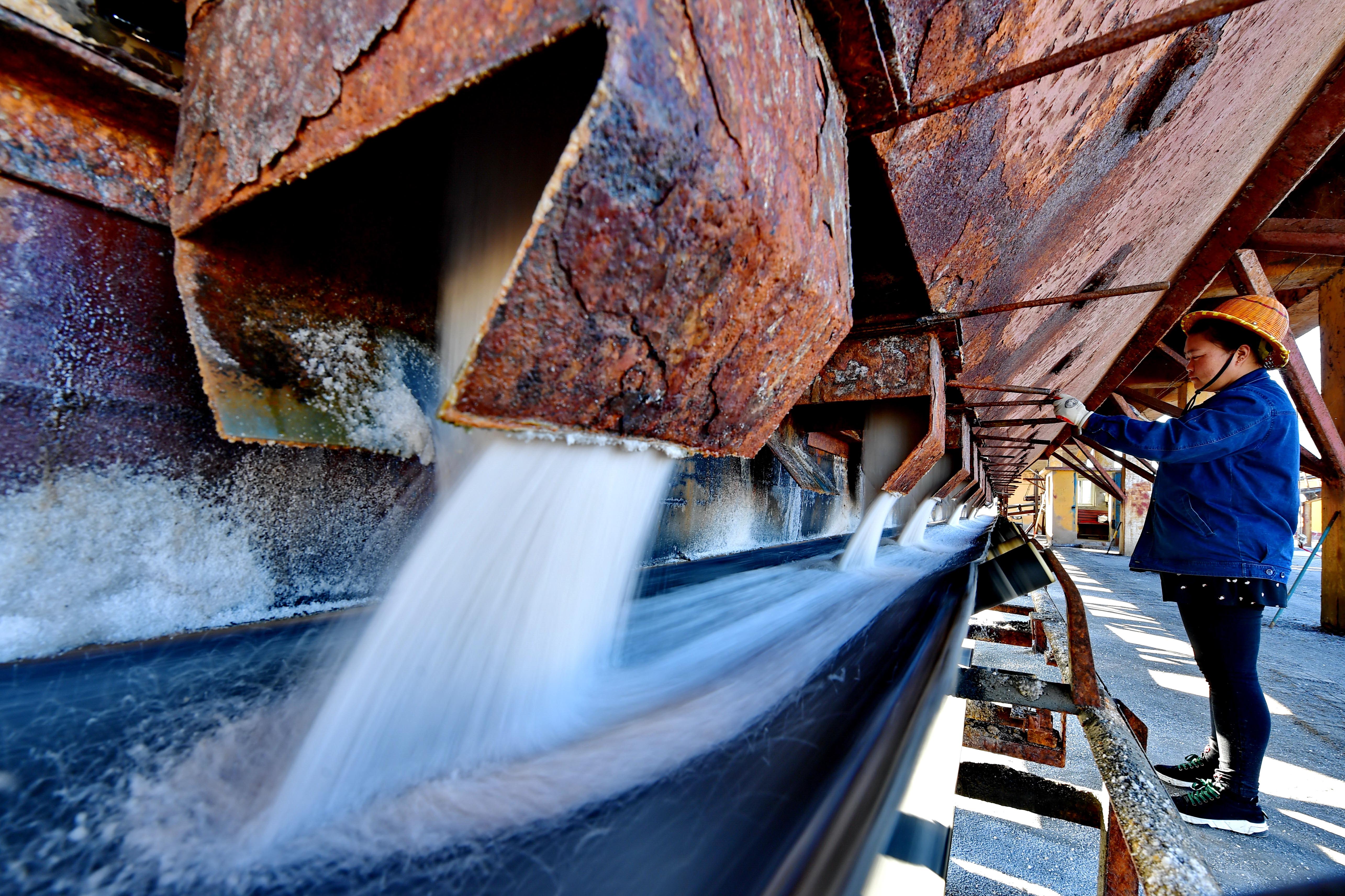 长芦盐池结晶满 深秋收获盐溢仓