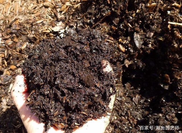腐叶土在家14天就能做好,自己发酵用不完
