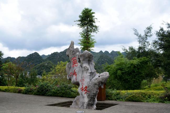 兴义市东南部有个万峰林景区,你知道吗?