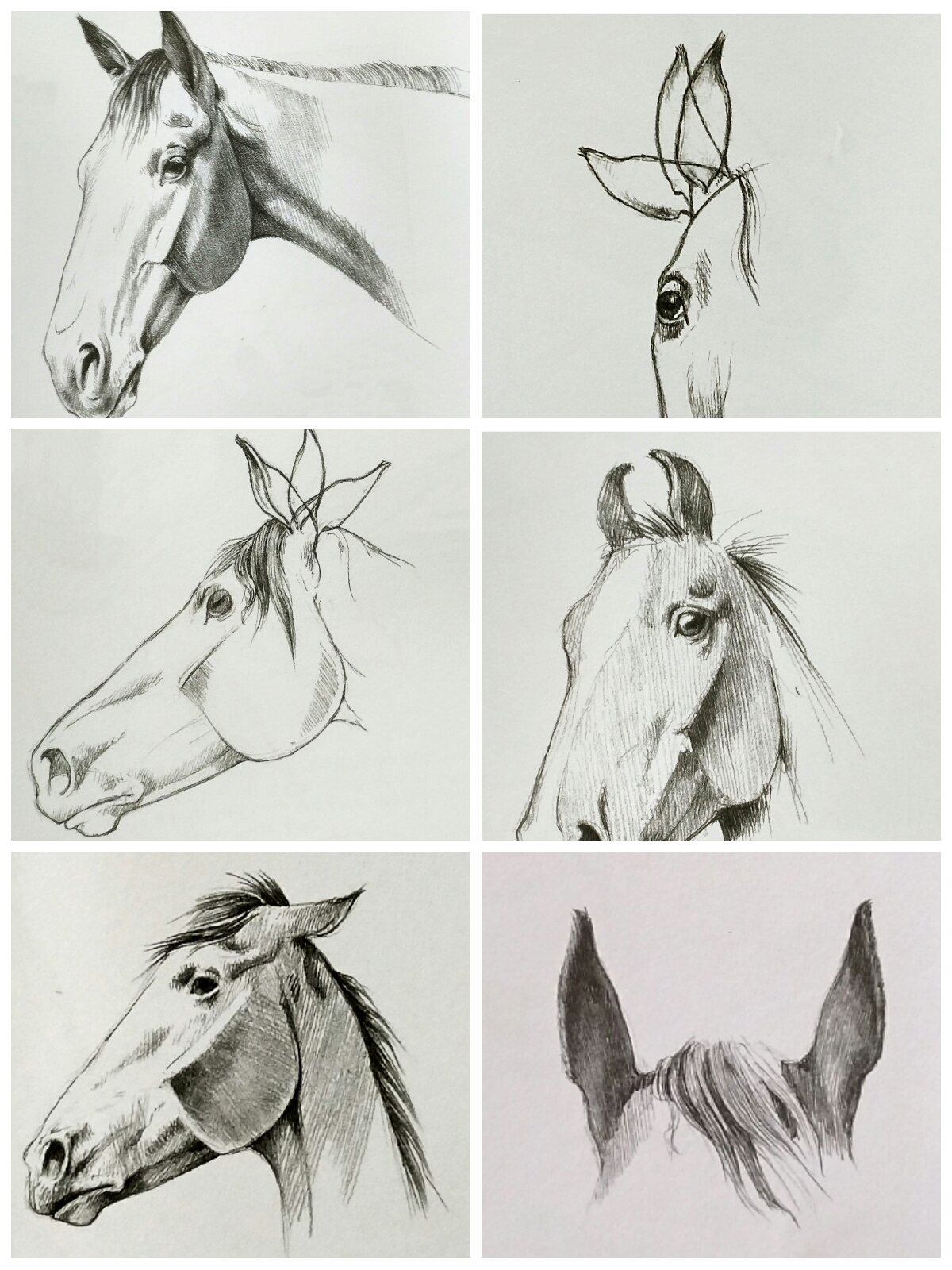 下图是从不同角度所看到的马的眼睛,在画眼球时,应采用球体的阴影画法
